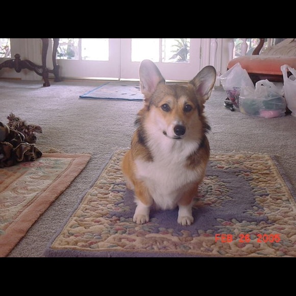 Meet your Posher, Kelly - Picture 14 of 16